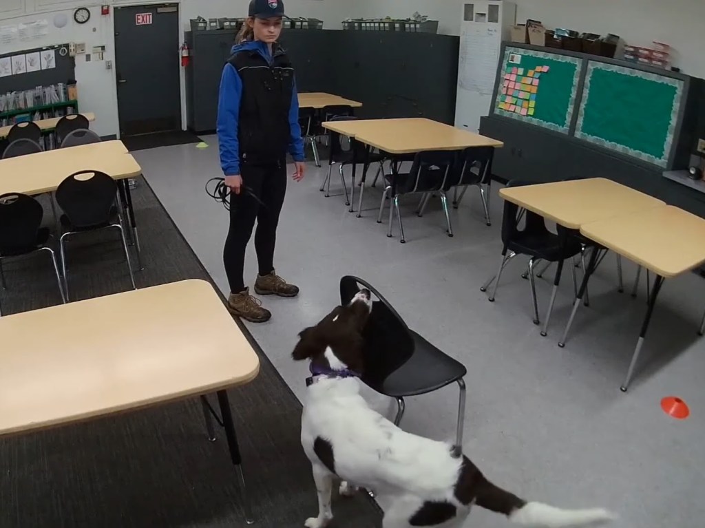 Understanding Sniffing, Searching, Sourcing, &&nbsp;Alerting