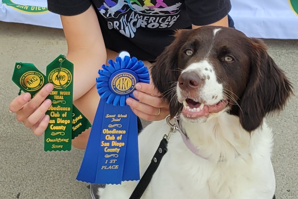 OCSDC Scentwork Trial – July&nbsp;2023