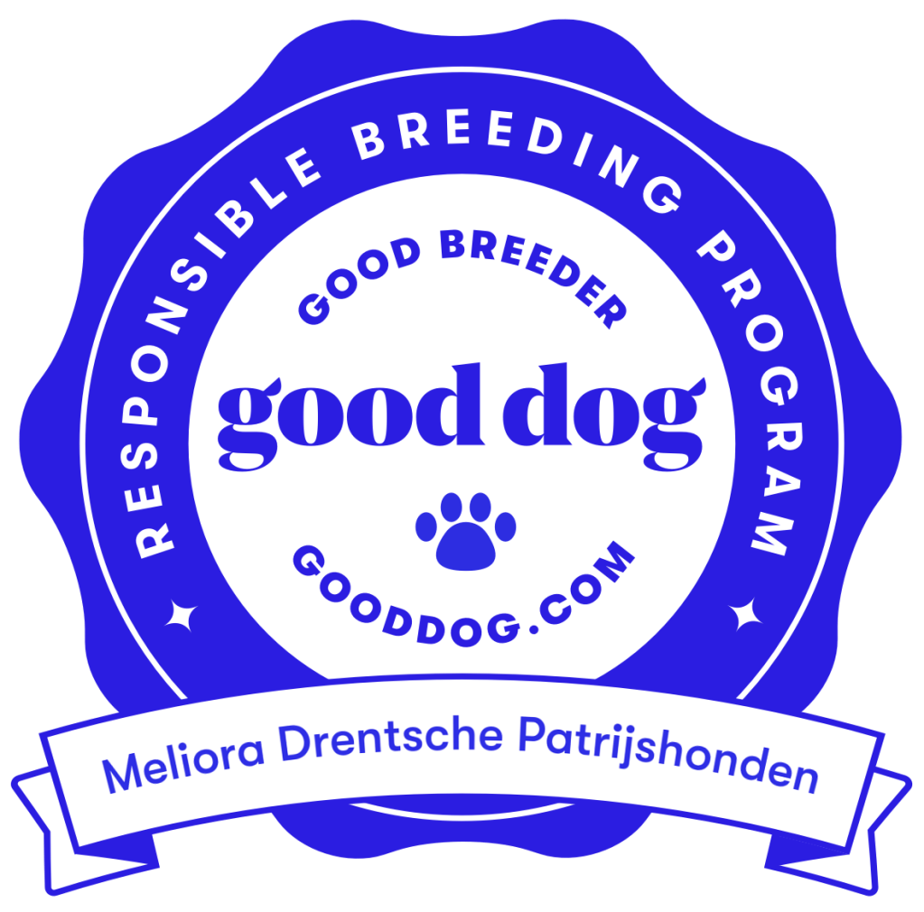 Meliora Drentsche Patrijshonden Good Dog Good Breeder Certification